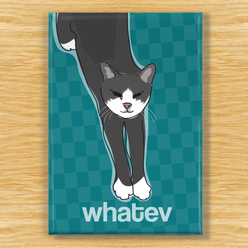 Funny Cat Magnet, Fridge Magnets with Cats, Gray Kitty Says Whatev image 1