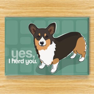 Tri Color Corgi Magnet – Funny Dog Fridge Magnets – Tricolor Corgis – Yes I Herd You