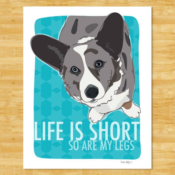 Cardigan Welsh Corgi Series Blue Merle Canvas Print Cardigan Welsh Corgi Series Blue Merle Canvas Print