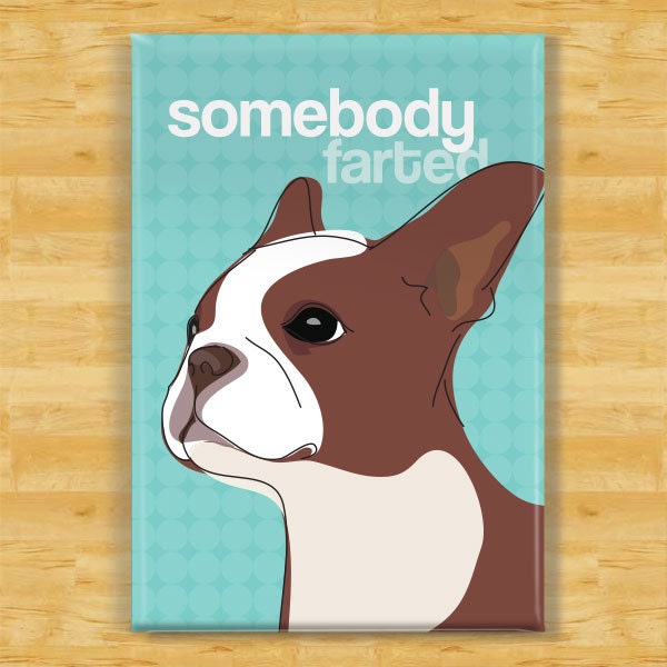 Boston Terrier Magnet - Somebody Farted - Brown Red Boston Terrier Gifts Funny Dog Fridge Magnets