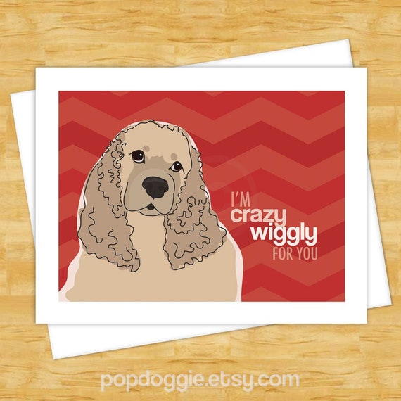 crazy cocker spaniel