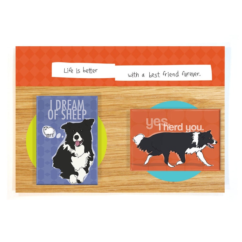 Border Collie Gifts Set of 4 Fridge Magnets with Black and White Border Collies Funny Dog Magnets Pack image 3