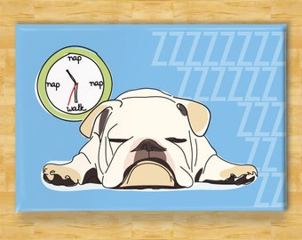 Bulldog Magnet - Napping at Walk Time - White Bulldog Gifts Funny Dog Fridge Magnets