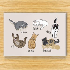 Cat Magnet – Funny Fridge Magnets – Cats with Obedience Commands: Sit Come Stay - As If!