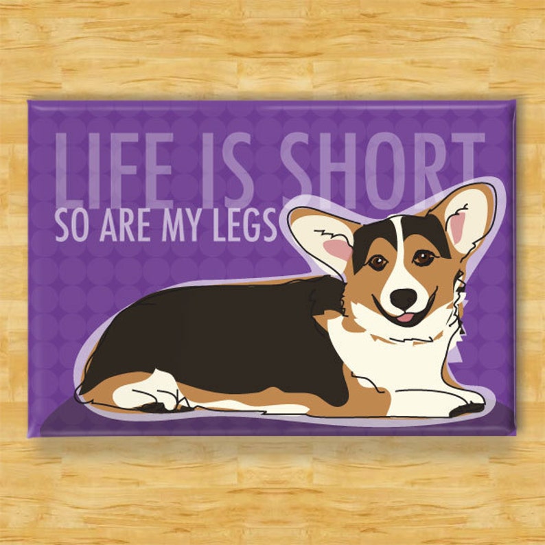 Corgi Magnet Life is Short So Are My Legs Tri Color Pembroke Welsh Corgi Gifts Funny Dog Fridge Magnets image 1