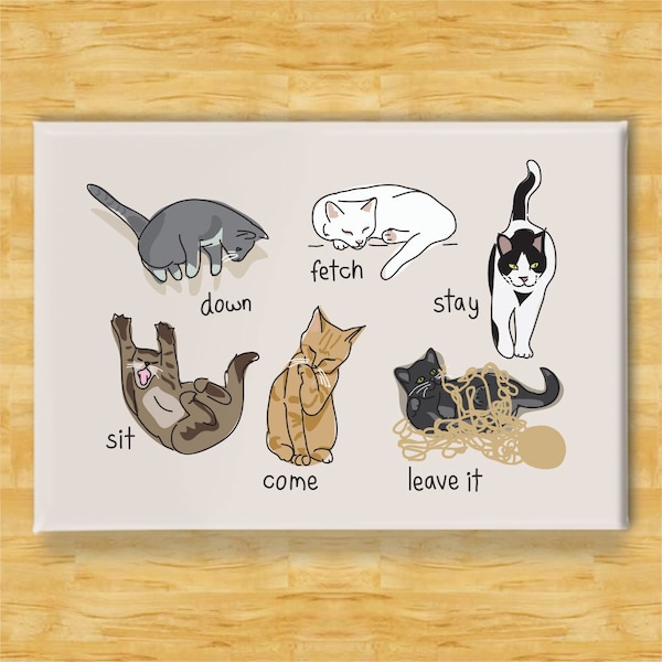 Cat Magnet - Cats Being Cats - Funny Cat Gifts Fridge Refrigerator Magnets