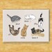 Cat Magnet - Cats Being Cats - Funny Cat Gifts Fridge Refrigerator Magnets 