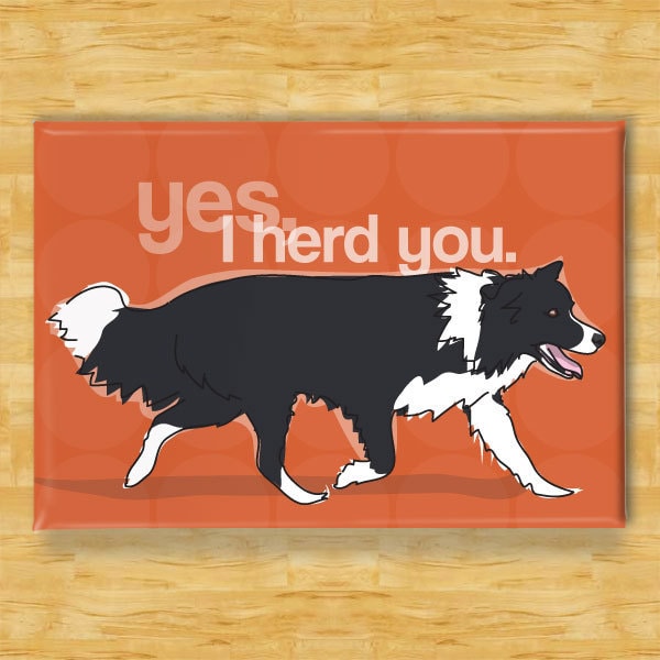 Border Collie Magnet - Yes I Herd You - Border Collie Gifts Funny Dog Fridge Magnets
