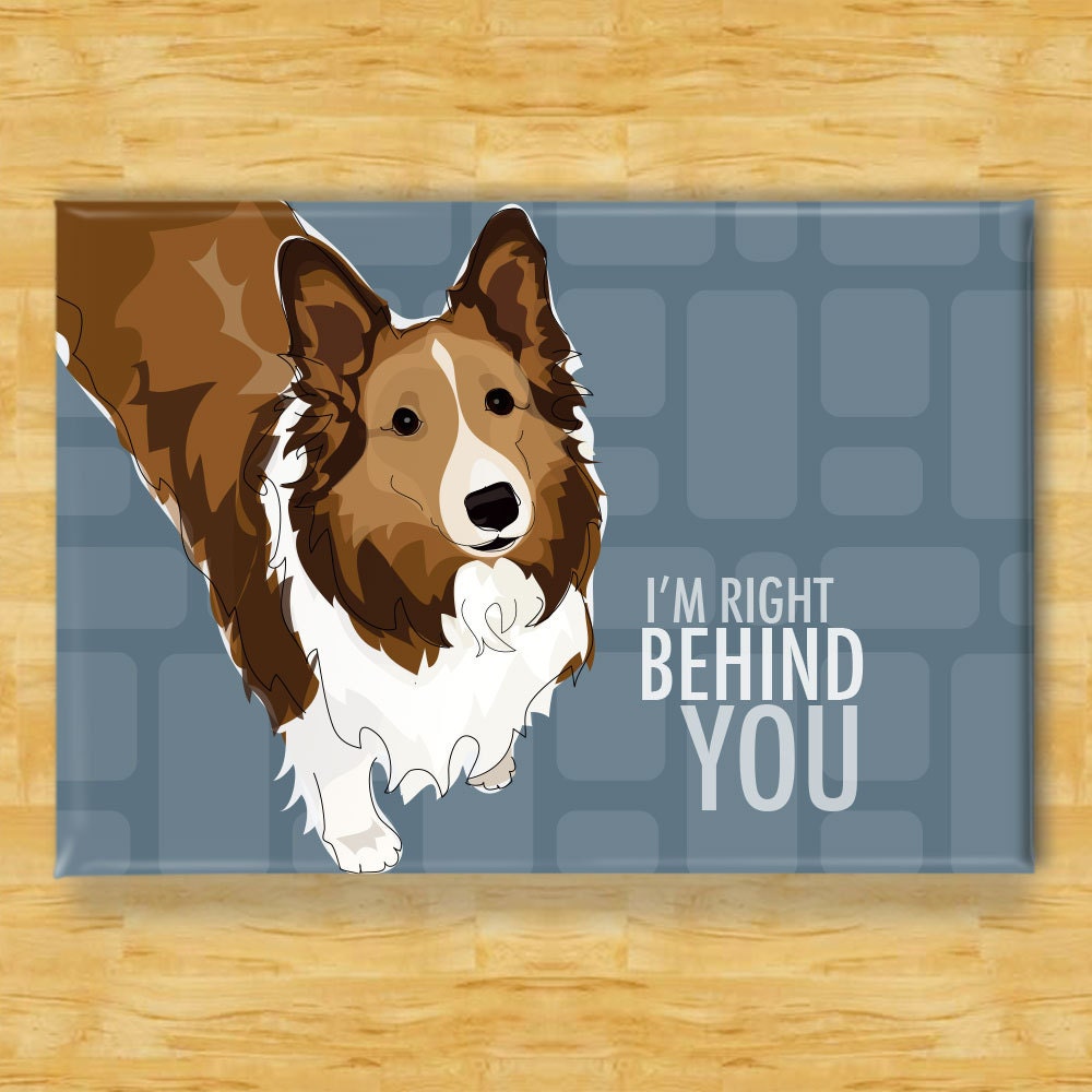 Details about   A Spoiled Rotten Sheltie Lives Here 2.5" x 3.5" Wood Refrigerator Magnet 