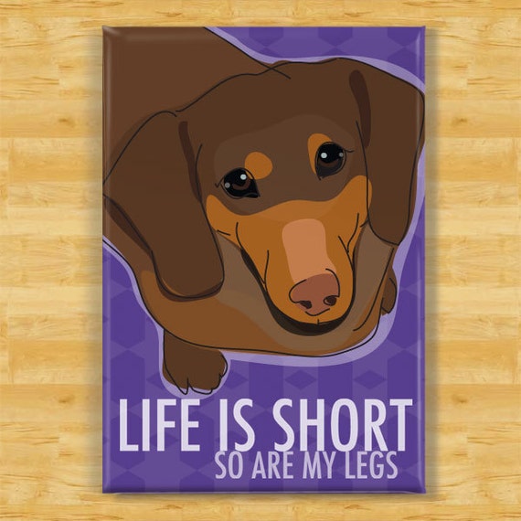 Dachshund Magnet Life is Short so Are My Legs Chocolate Brown