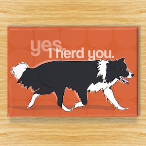 Border Collie Magnet – Funny Fridge Magnets – Dog Admits: Yes I Herd You