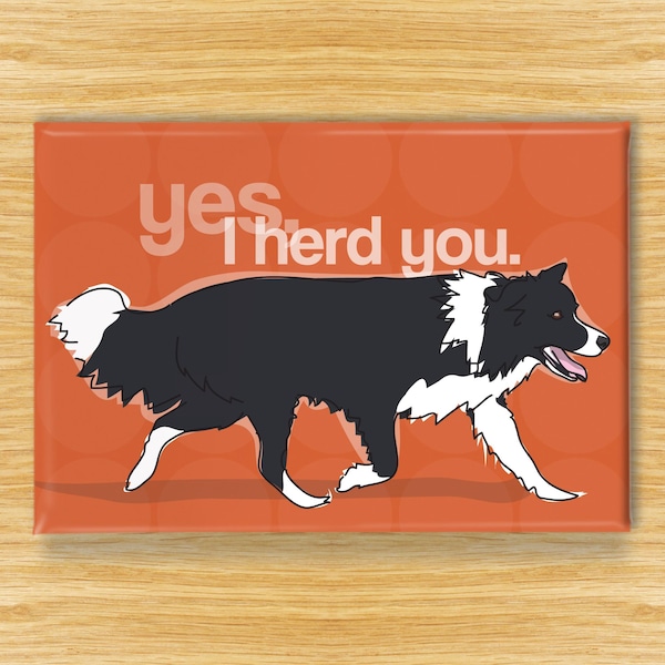 Border Collie Magnet – Funny Fridge Magnets – Dog Admits: Yes I Herd You