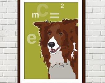 Red Border Collie Art Print – Funny Dog Breed Illustration – Einstein