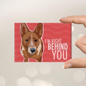 Red Heeler Magnet – Funny Fridge Magnets – Australian Cattle Dog is Right Behind You image 2