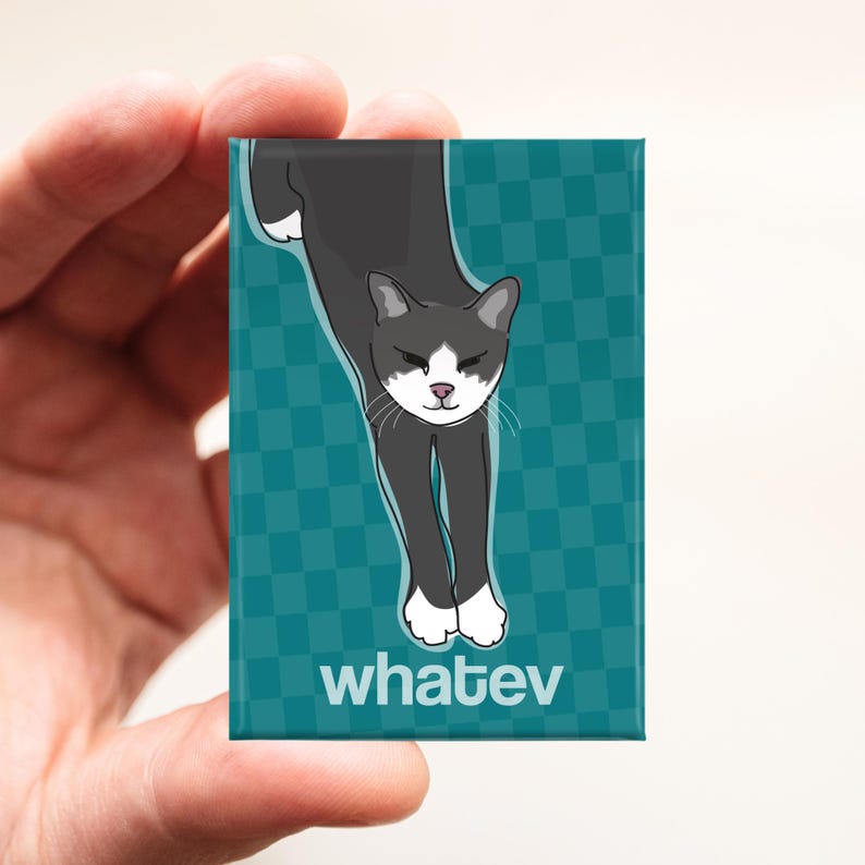 Funny Cat Magnet, Fridge Magnets with Cats, Gray Kitty Says Whatev image 5