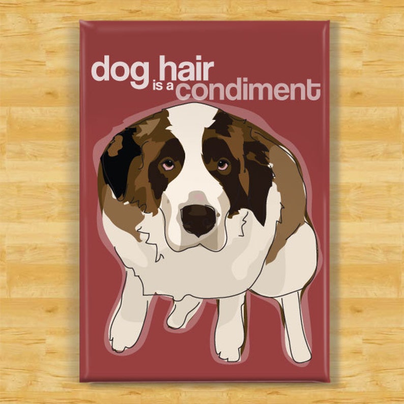 St Bernard Magnet Dog Hair is a Condiment Saint Bernard Gifts Funny Dog Fridge Magnets image 1