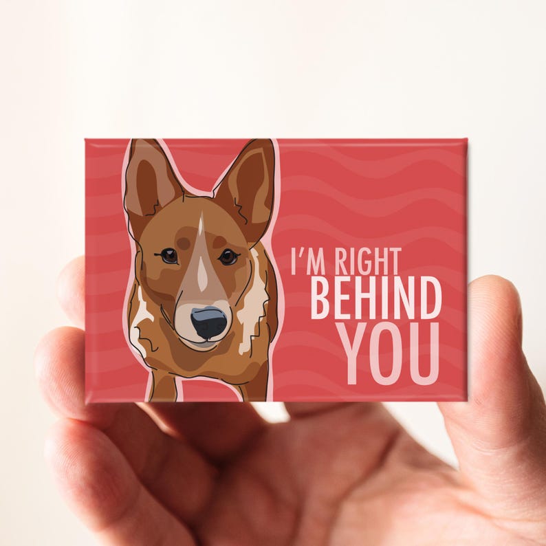 Red Heeler Magnet – Funny Fridge Magnets – Australian Cattle Dog is Right Behind You image 5