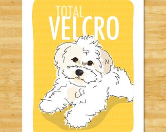 Havanese Art Print - Total Velcro - White Havanese Gifts Dog Breed Art