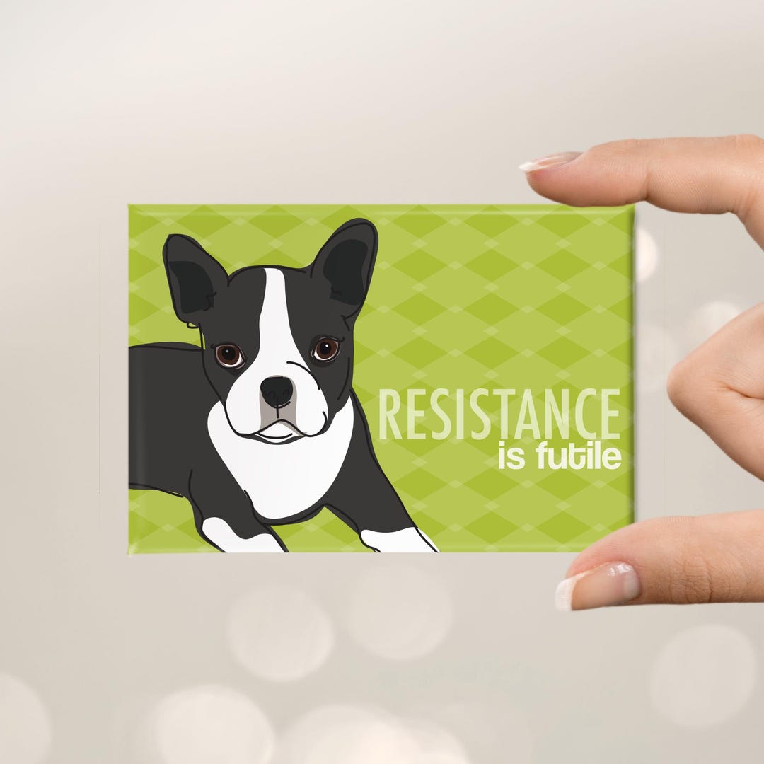 Boston Terrier Magnet – Funny Dog Fridge Magnets – Bostie Knows ...