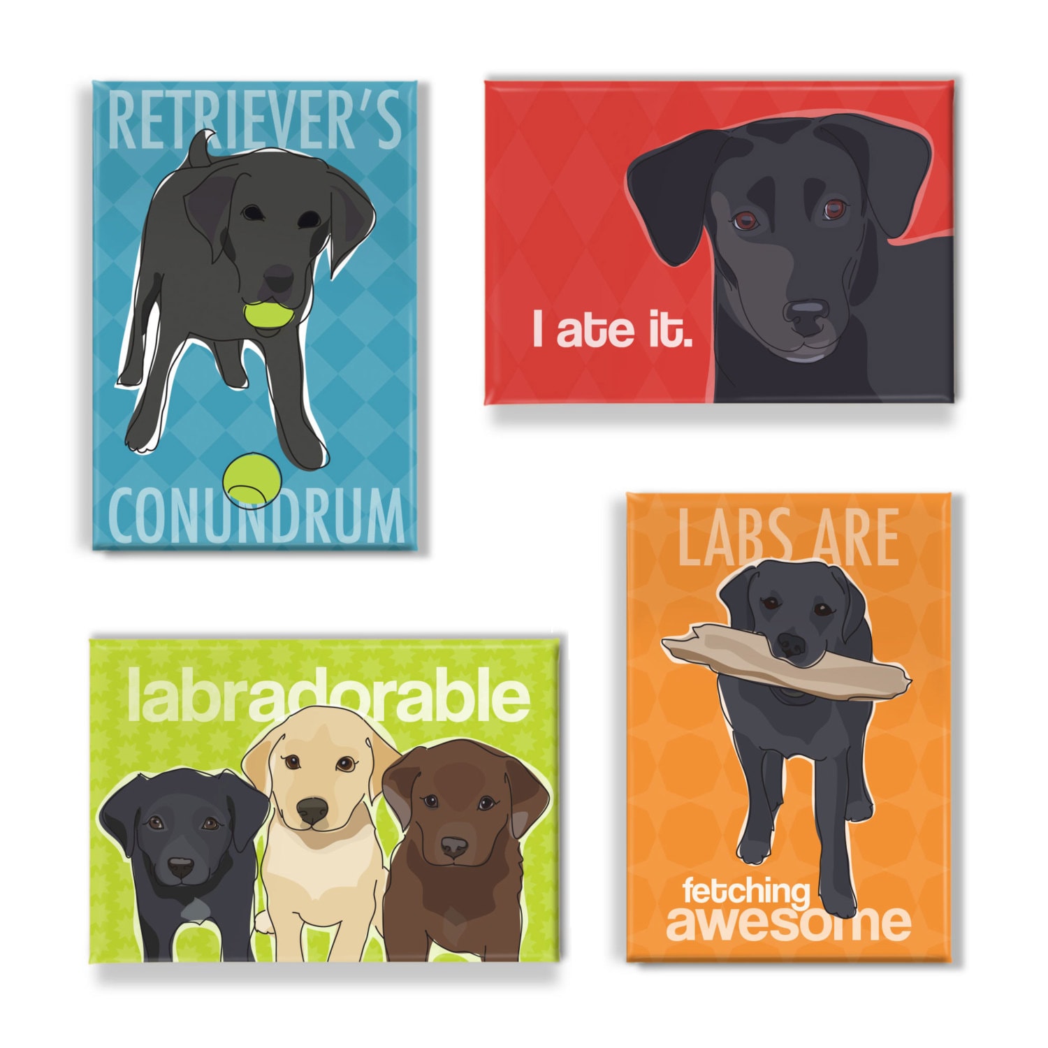 labrador presents