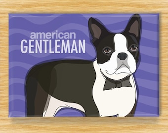 Boston Terrier Magnet – Funny Dog Fridge Magnets – Bostie is an American Gentleman
