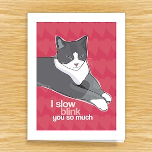 Cat Love You Card – I Slow Blink You So Much – 16 Color Cats: Calico, Siamese...