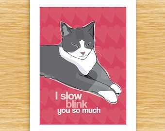 Cat Love You Card – I Slow Blink You So Much – 16 Color Cats: Calico, Siamese...