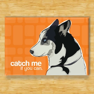 Husky Magnet - Catch Me If You Can - Siberian Husky Gifts Funny Dog Fridge Magnets