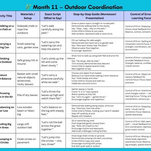 May include: A Montessori-style educational chart for Month 11, focusing on outdoor coordination. It details activities like walking, carrying, climbing, and balancing, with step-by-step guides and learning focus areas.