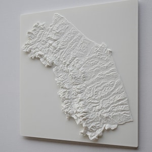 May include: A white, three-dimensional relief map of a landmass, mounted on a square white background. The map shows detailed topographical features, including mountains and valleys. The artwork is a minimalist, modern design.