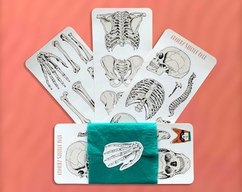 Stickers Anatomy Planner : pack d'autocollants pour schéma de principe