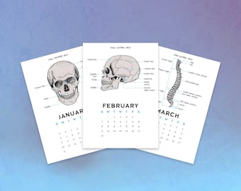 2027 Anatomy Wall Calendar: Medical Student Gift