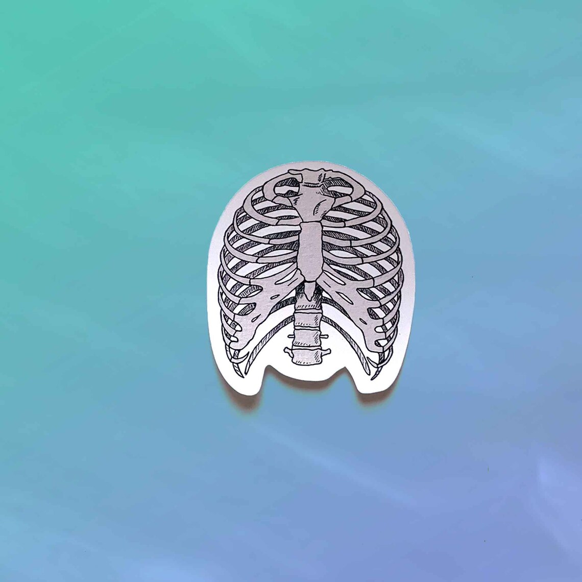 Anatomy Rib Sticker Ribcage Laptop Decal Vinyl Sticker Med Etsy