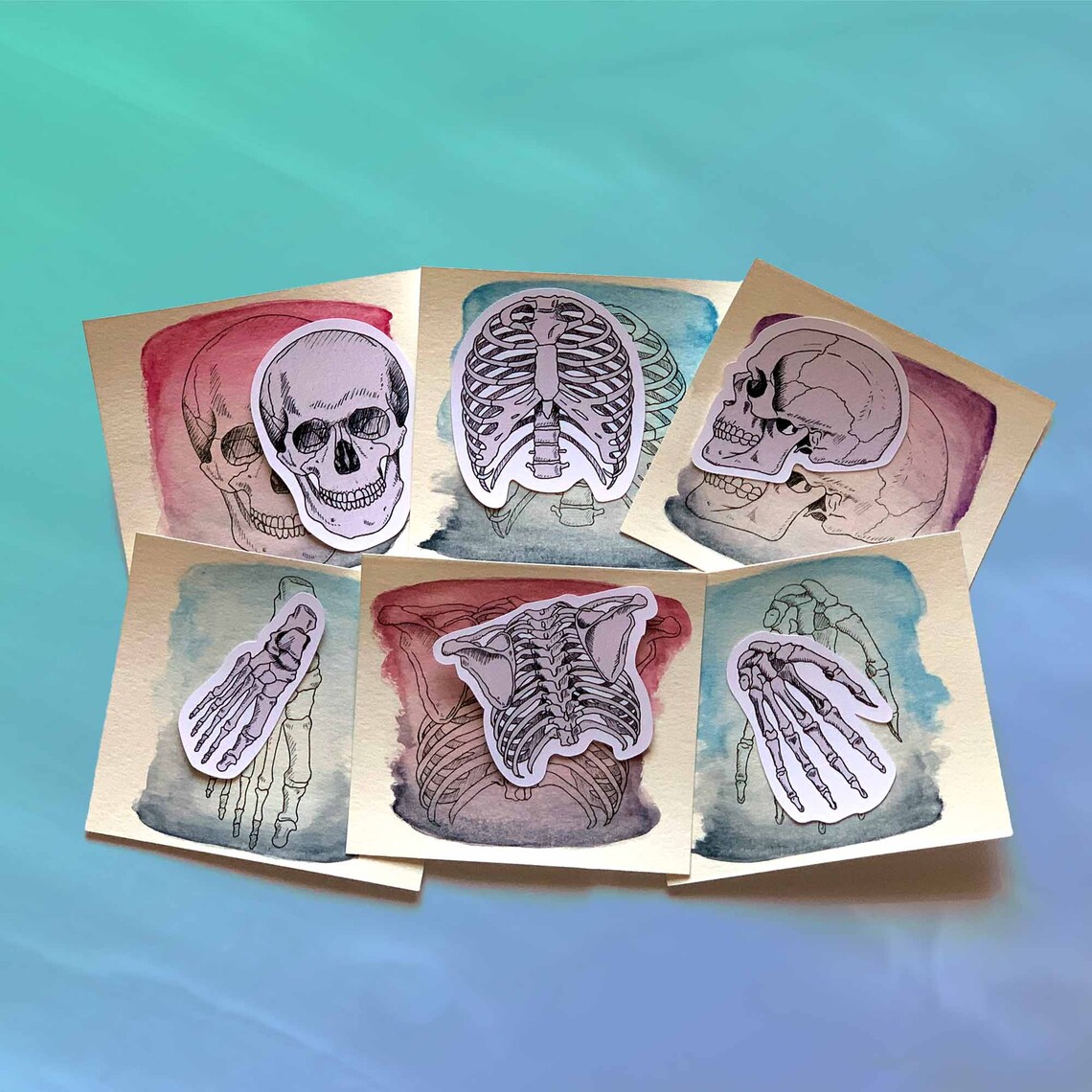 Anatomy Rib Sticker Ribcage Laptop Decal Vinyl Sticker Med Etsy