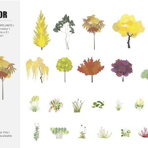 May include: A set of 25 watercolor illustrations of trees and plants in two seasons. The illustrations are in a variety of colors, including green, yellow, red, and brown. The illustrations are perfect for use in design projects, such as websites, brochures, and social media.