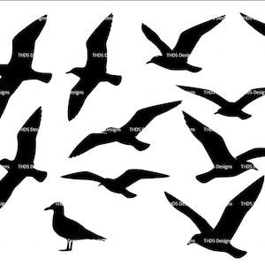 May include: A collection of black silhouette images of seagulls in various flying poses against a white background. Some birds are in flight, while one is standing. The image has the text "THDS Designs" in the corner.