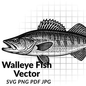 Op de afbeelding: Een zwart-wit lijntekening van een snoekbaars met gedetailleerde schubben en vinnen, geplaatst op een lichte rasterachtergrond. Onder de vis staat de tekst Walleye Fish Vector, gevolgd door de bestandsformaten SVG PNG PDF JPG.