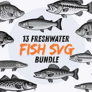 May include: A digital collection of 13 black and white freshwater fish illustrations arranged around the central text 13 FRESHWATER FISH SVG BUNDLE. The fish feature detailed scales, fins, and eyes, presented in a variety of species and poses.