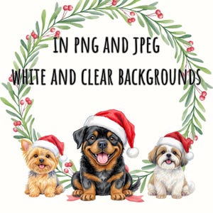 May include: A digital illustration of three dogs in Santa hats, framed by a wreath of green foliage and red berries. The text at the top says "IN PNG AND JPEG" and "WHITE AND CLEAR BACKGROUNDS". The dogs are a Yorkshire Terrier, Rottweiler, and Shih Tzu.