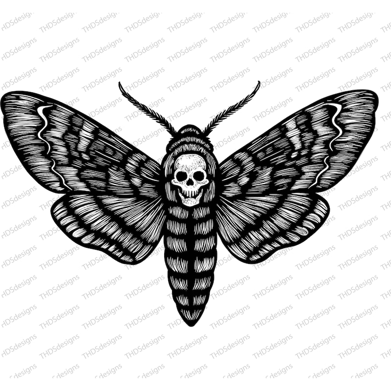 Death Goth Design Death Head Moth Card - Etsy UK