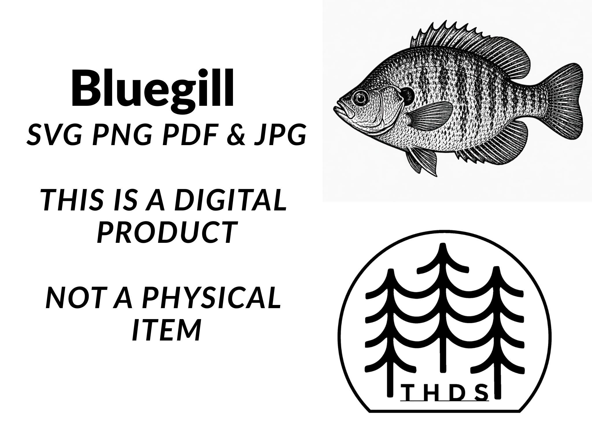 Panfish Vector Lino Style Bluegill Fish SVG | Panfish Line Art | Freshwater Fish ...