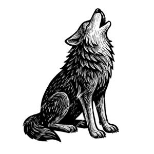 May include: A detailed black and white illustration of a wolf howling. The wolf is seated, with its head and mouth raised in a howl. The image has a textured appearance, with visible linework and shading, creating a detailed effect.