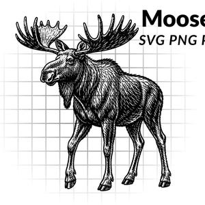 May include: A black and white line art illustration of a standing moose with large antlers, set against a light gray grid background. The text Moose SVG PNG PDF is printed in black in the upper right corner of the image.