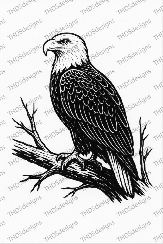Bald Eagle Clipart SVG PNG | High-Resolution 300ppi Line Art | Eagle Illustration PNG Jpg Pdf | Wildlife Bird Art | Instant Download