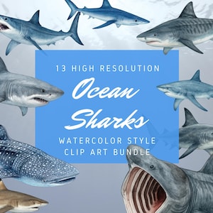 May include: Watercolor-style clip art bundle featuring 13 high-resolution ocean sharks. The image showcases various shark species in shades of blue, gray, and brown, with a blue background and the text "Ocean Sharks".