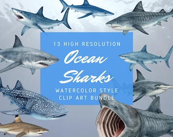 Watercolor Ocean Sharks Clipart | 13 Realistic Shark PNG JPG PDF Set | High-Res Marine Wildlife Art for Crafts, Sublimation, Printables