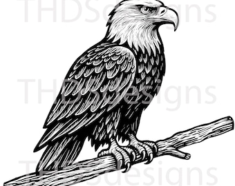 American Bald Eagle SVG PNG JPEG – Hand Drawn Black and White Illustration for Laser Engraving, Printing Cut files Clipart for crafting jpg
