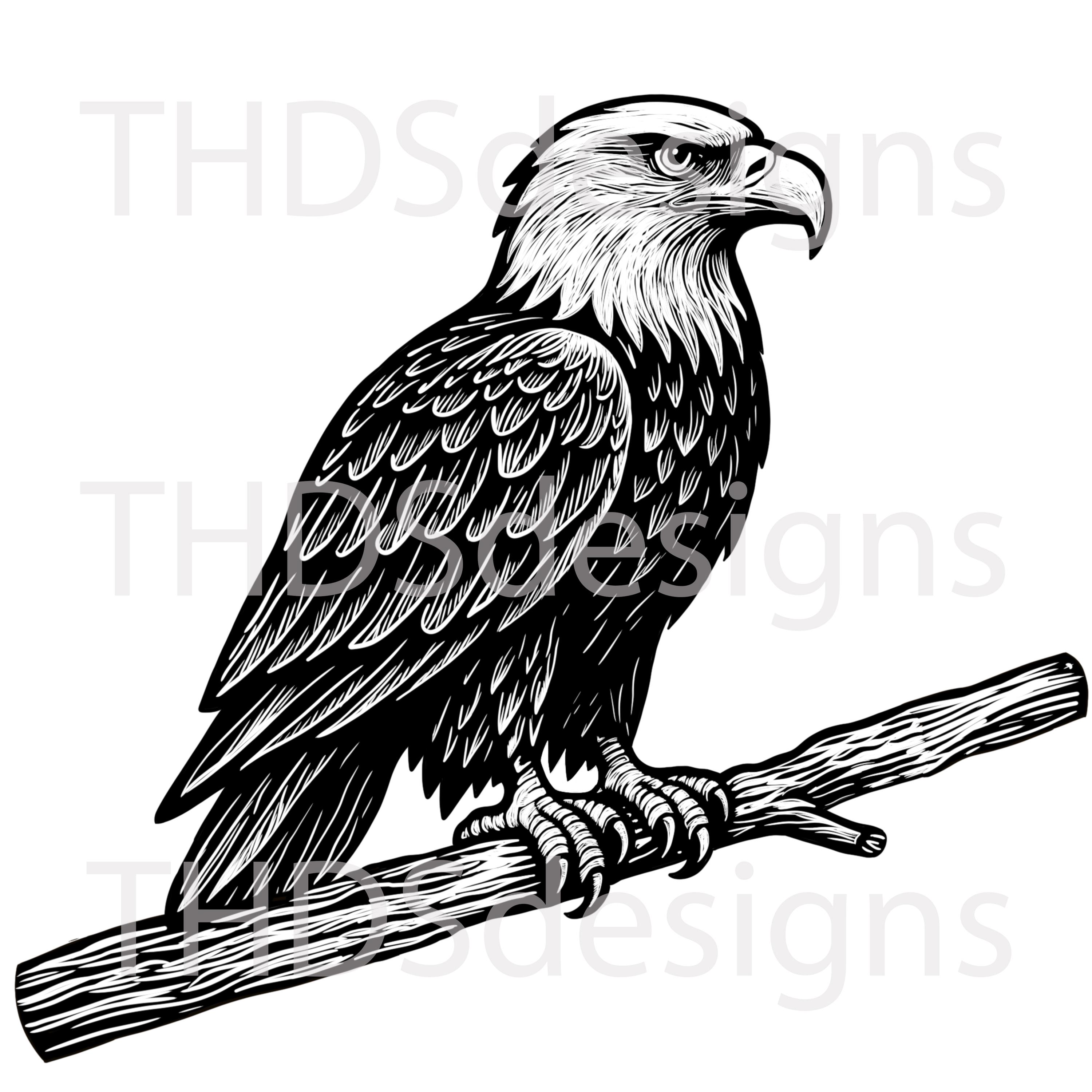 American Bald Eagle SVG PNG JPEG – Hand Drawn Black and White ...