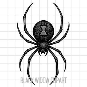 K&ouml;nnte beinhalten: Schwarz-wei&szlig;e Illustration einer schwarzen Witwe. Die Spinne hat eine Sanduhr-Markierung auf ihrem Hinterleib. Der Text "BLACK WIDOW CLIPART" ist unten im Bild enthalten.