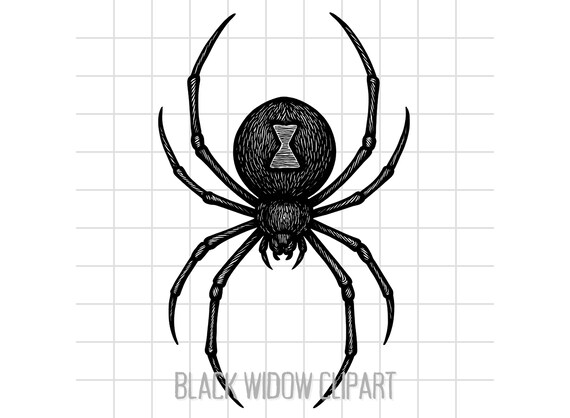 Black Widow Spider Clipart – SVG PNG JPG Pdf | High-Resolution 300ppi Line Art Illustration | Tattoo Style | Instant Digital Download